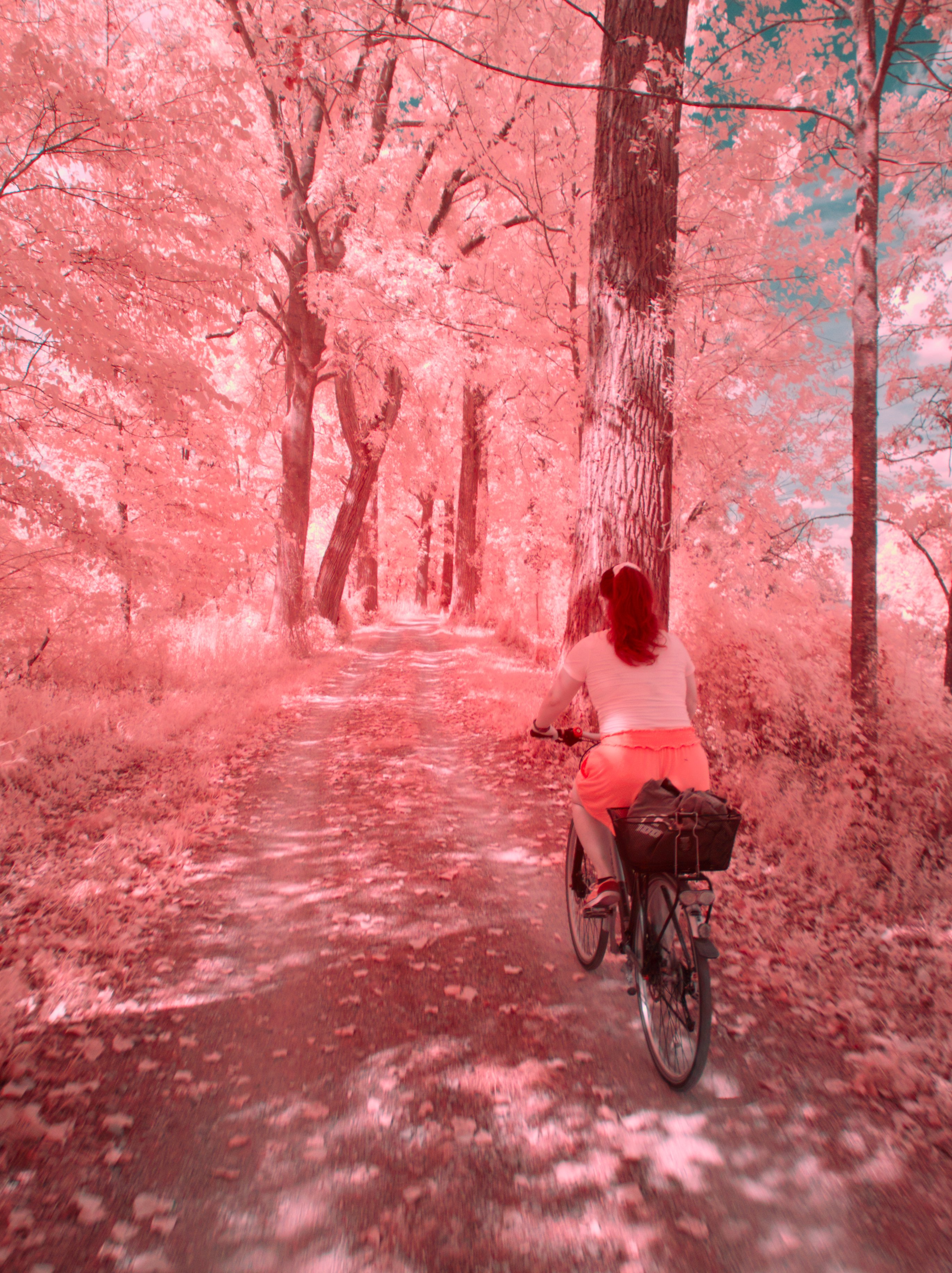 Eine Radtour in Infrarot