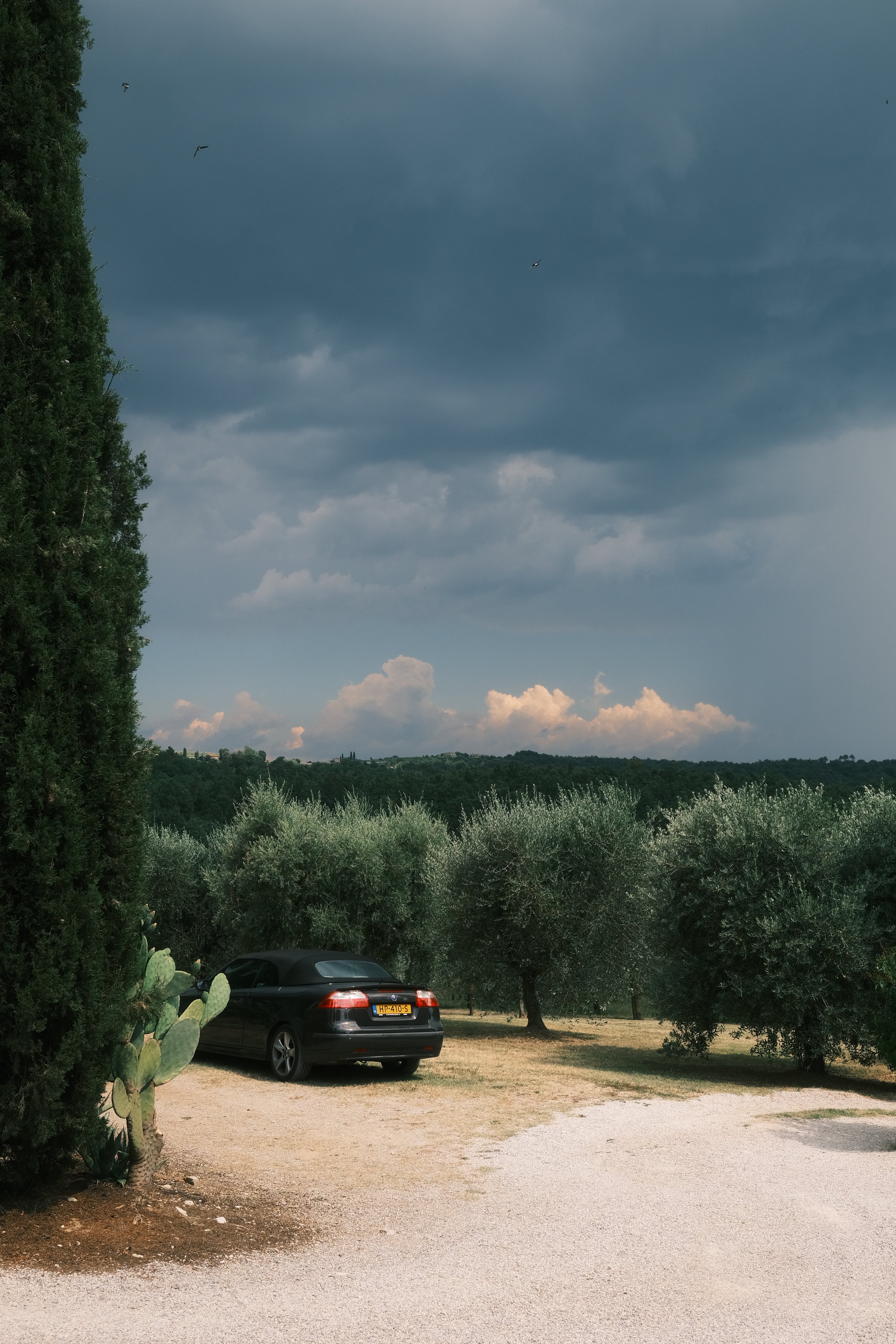 Ein Sturm zieht auf