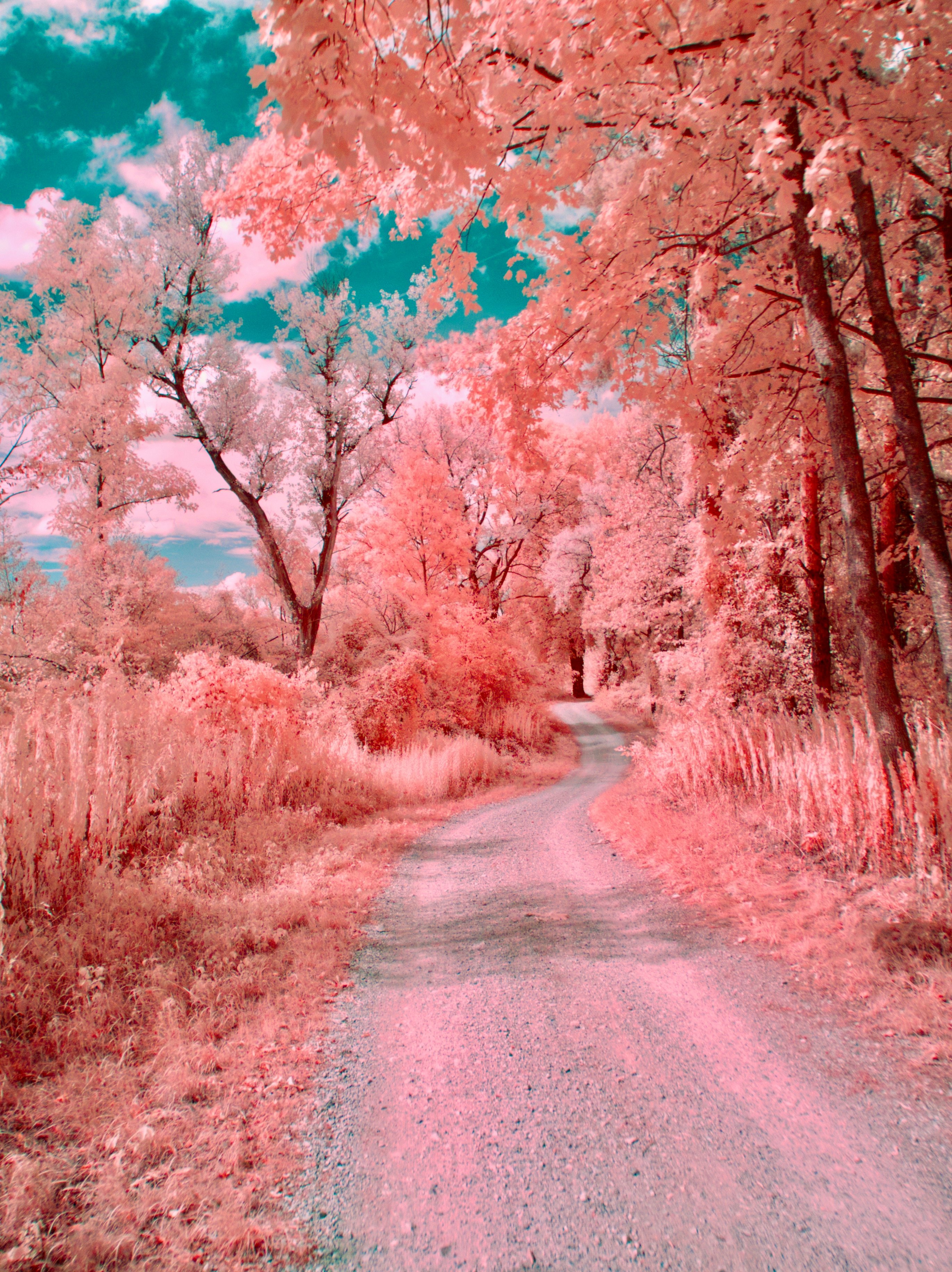 DSCN0263.jpg