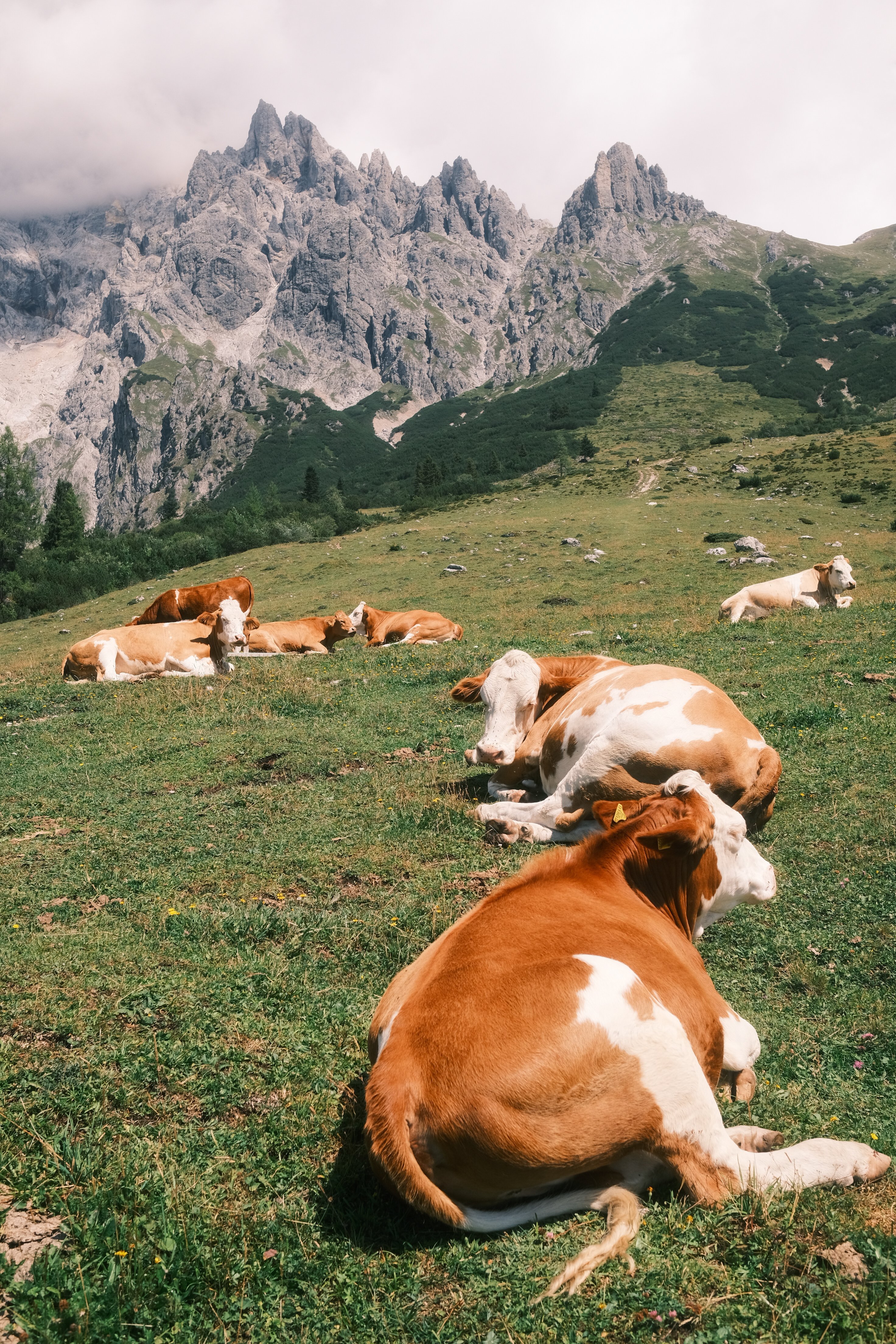 Ein Wochenende auf der Hütte