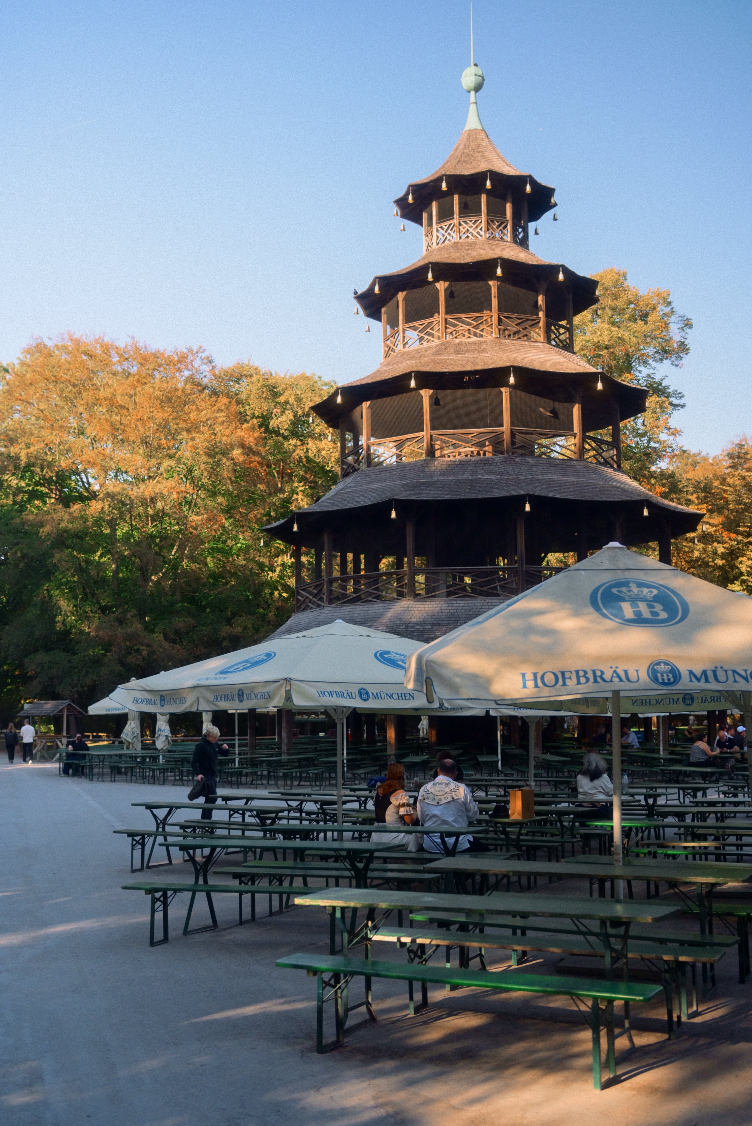 55366.jpg