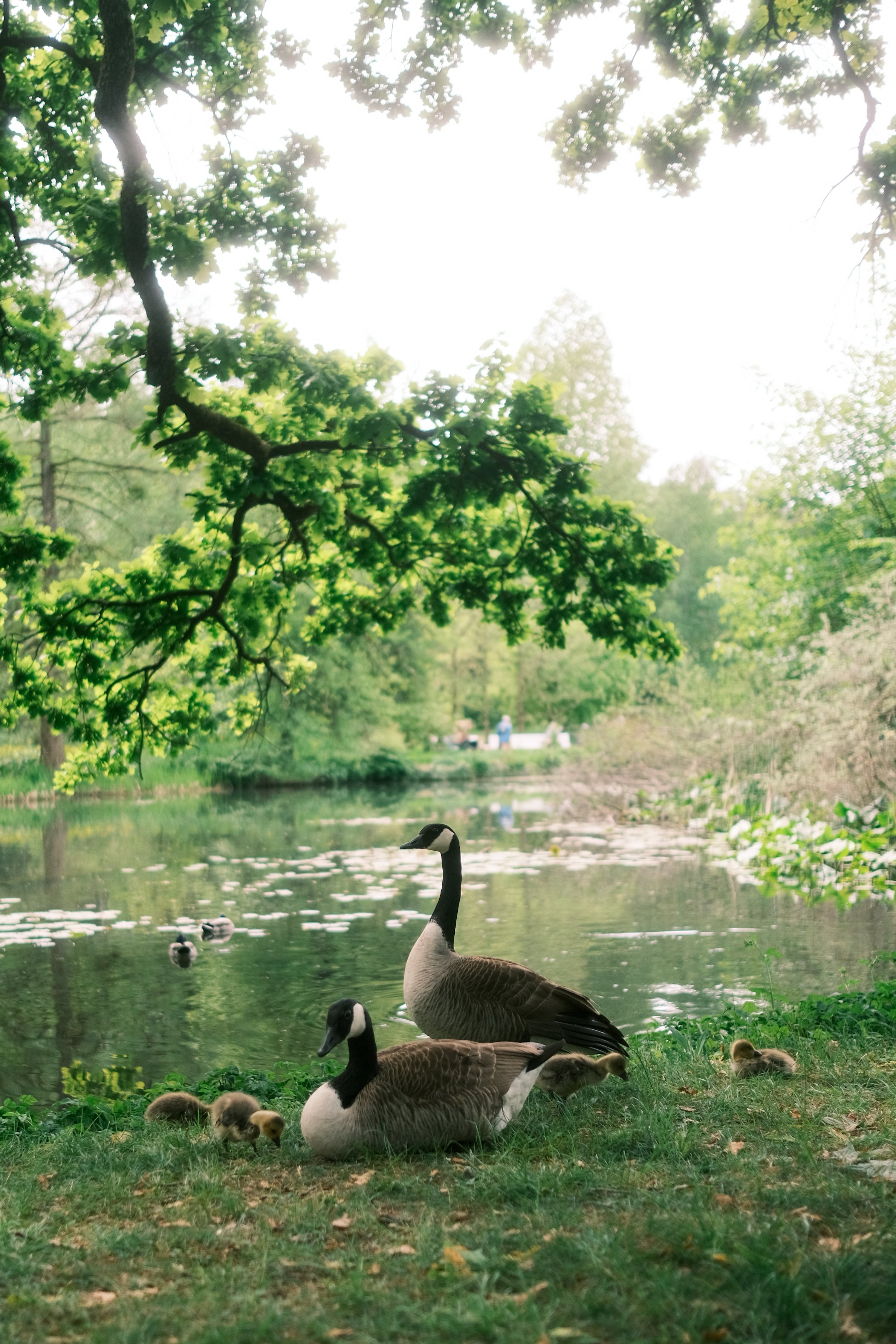 Muttertag im Botanischen Garten München